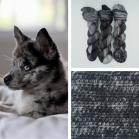 Patchwork Pup