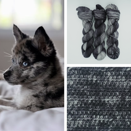 Patchwork Pup