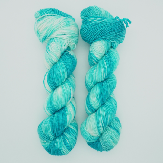 Misty's Mountain Bluebird