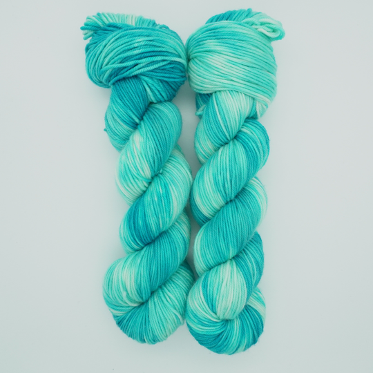 Misty's Mountain Bluebird