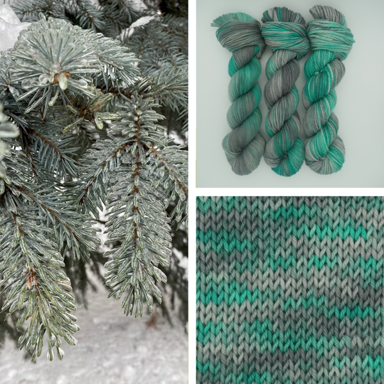 Silver Spruce