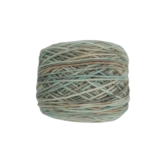 Seafoam and Shells image 3