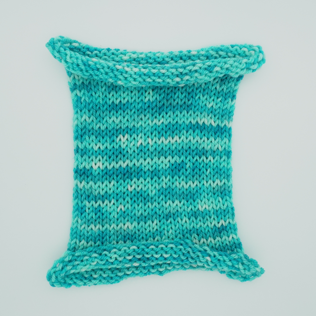 Misty's Mountain Bluebird