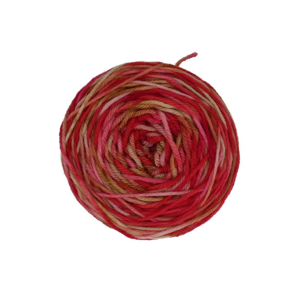 Cranberry Woods image 3