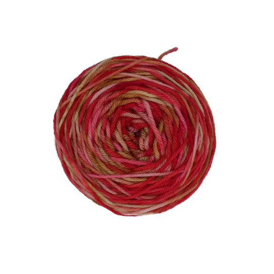 Cranberry Woods image 3