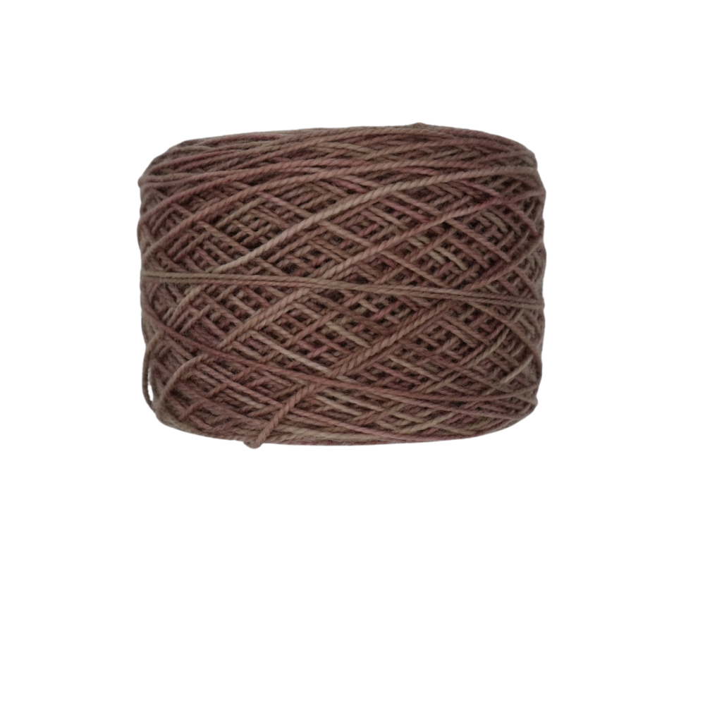 Antique Store- Tonal image 1