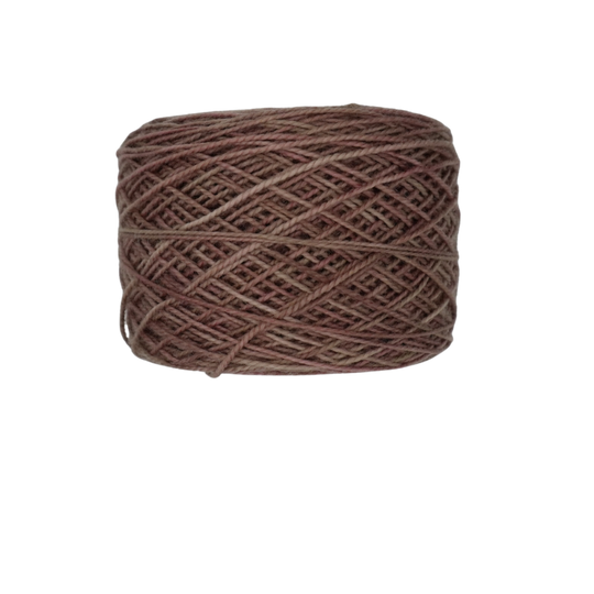 Antique Store- Tonal image 1