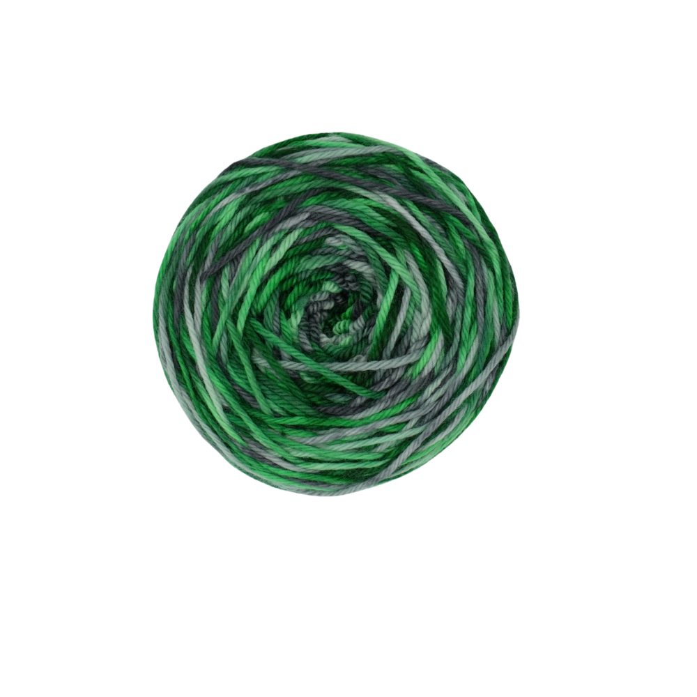 Evening Forest image 4