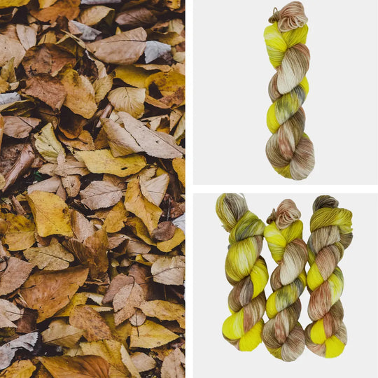 Autumn Path image 0