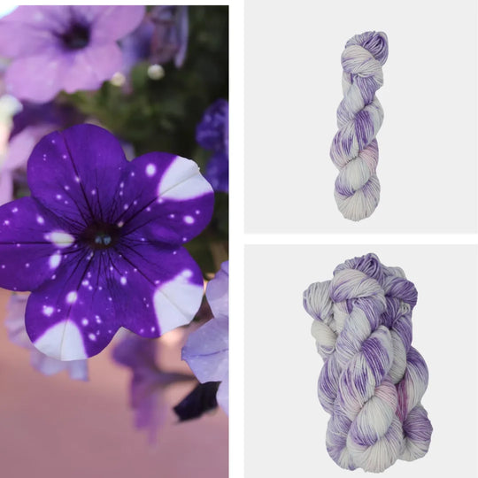 Dear Petunia image 0