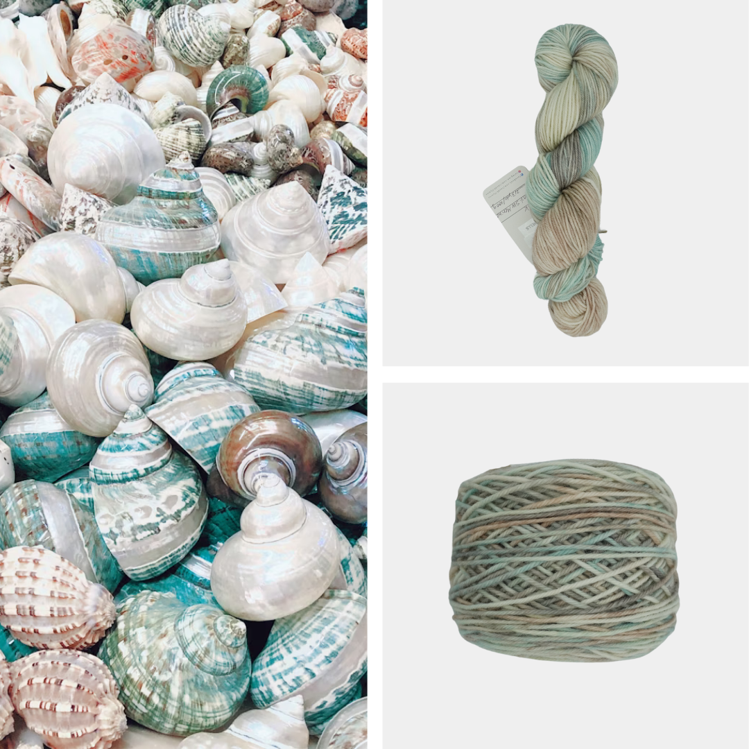 Seafoam and Shells image 0