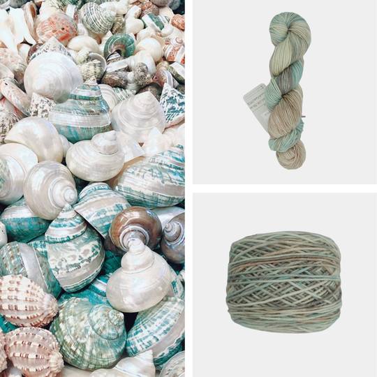 Seafoam and Shells image 0