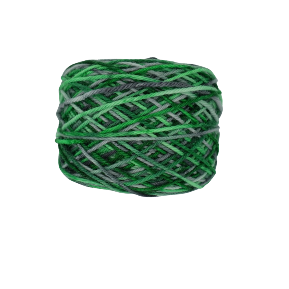 Evening Forest image 3