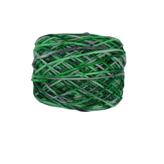 Evening Forest image 3