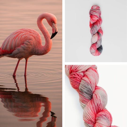 Flamingo image 0