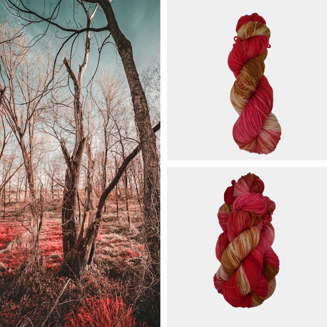 Cranberry Woods image 0