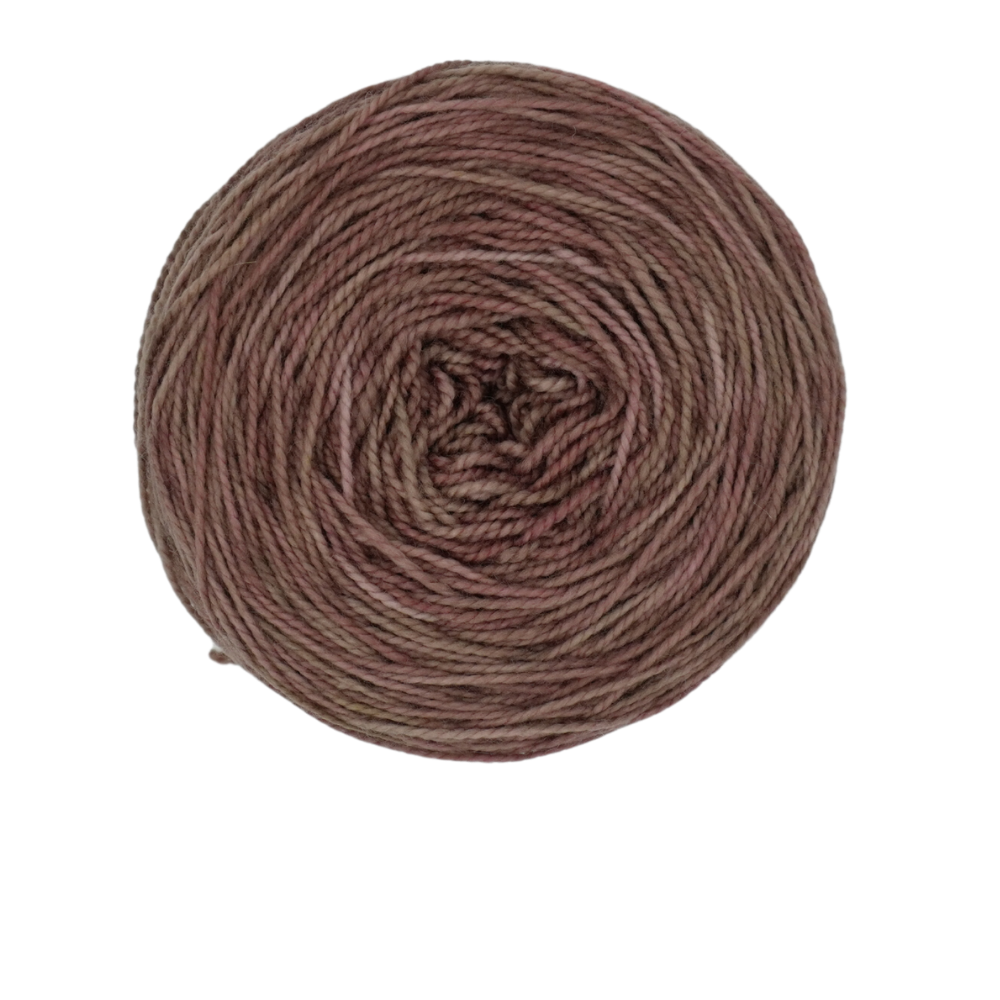 Antique Store- Tonal image 2