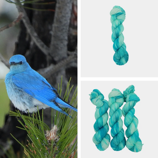 Misty's Mountain Bluebird image 0