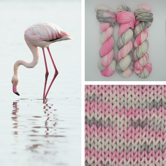 Flamingo