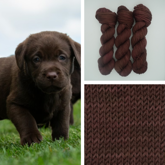 Puppy Paws