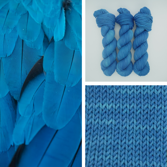 Blue Jay