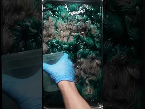 Silver Spruce