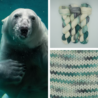 Ice Bear