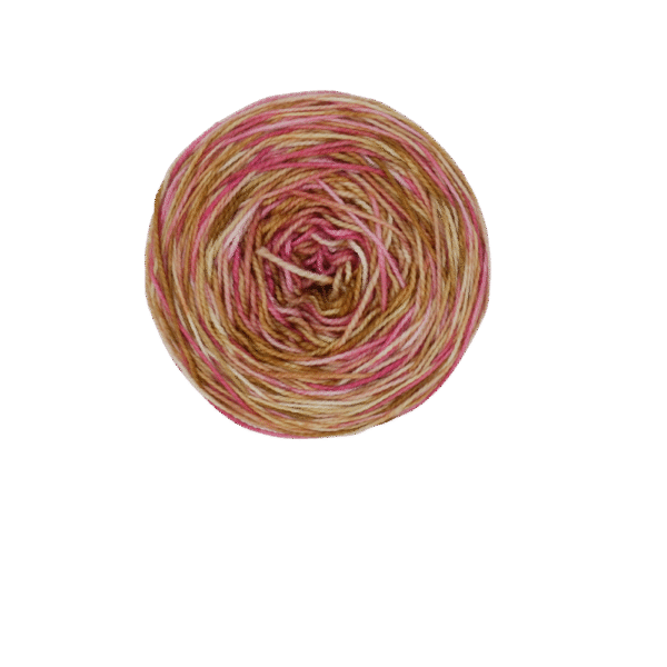Blush and Biscotti - Image 4