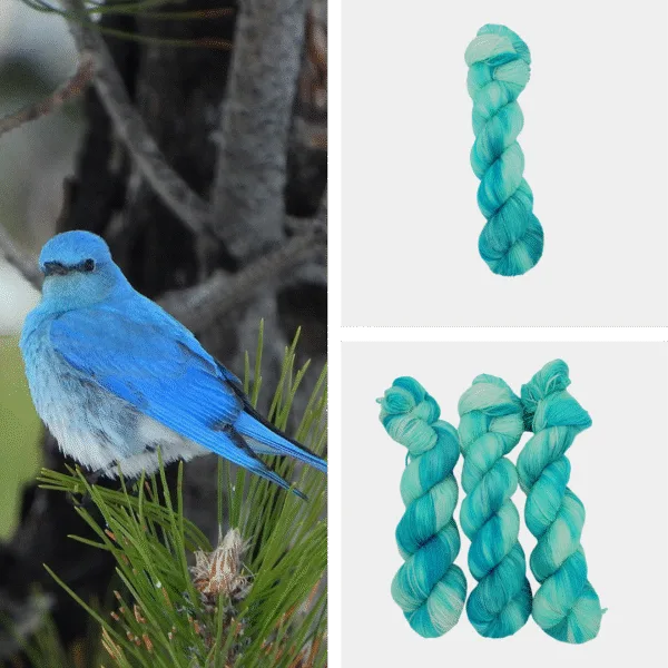 Misty's Mountain Bluebird