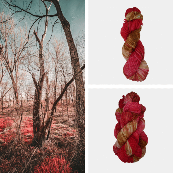 Cranberry Woods