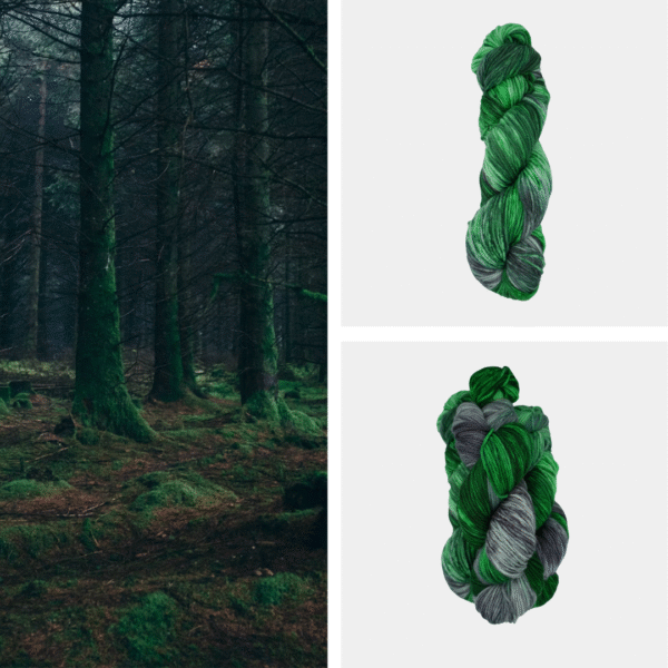 Evening Forest