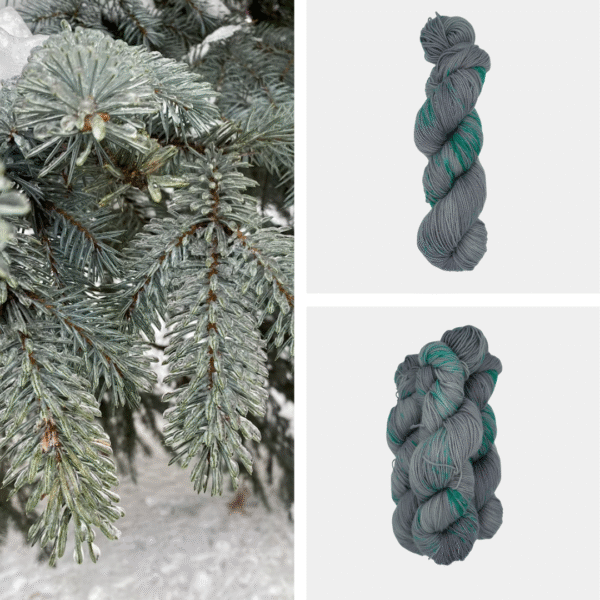 Silver Spruce